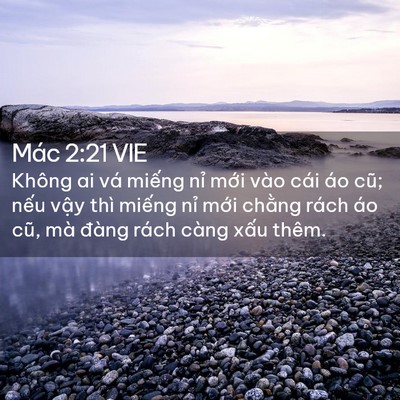 Picture 02 - Mác 2:21 VIE - Không ai vá miếng nỉ mới vào cái áo - Bible Verse Picture