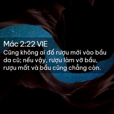 Picture 02 - Mác 2:22 VIE - Cũng không ai đổ rượu mới vào bầu da - Bible Verse Picture