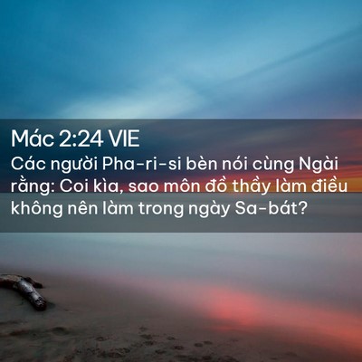 Picture 02 - Mác 2:24 VIE - Các người Pha-ri-si bèn nói cùng Ngài - Bible Verse Picture