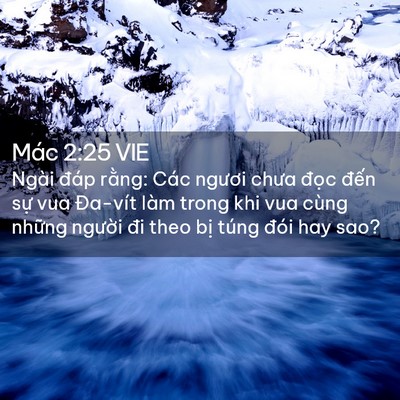Picture 02 - Mác 2:25 VIE - Ngài đáp rằng: Các ngươi chưa đọc - Bible Verse Picture