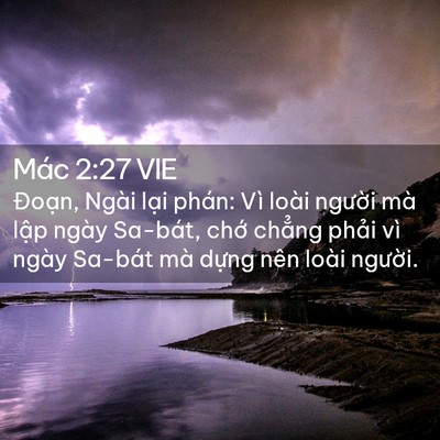Picture 02 - Mác 2:27 VIE - Đoạn, Ngài lại phán: Vì loài người - Bible Verse Picture