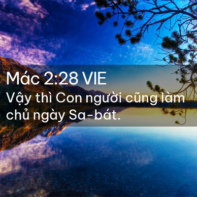 Picture 02 - Mác 2:28 VIE - Vậy thì Con người cũng làm chủ ngày - Bible Verse Picture