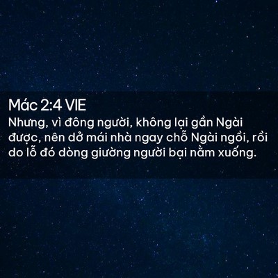 Picture 02 - Mác 2:4 VIE - Nhưng, vì đông người, không lại gần - Bible Verse Picture