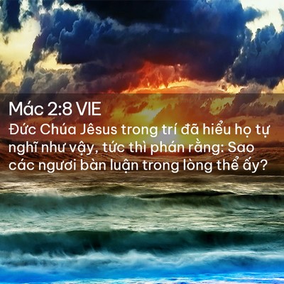 Picture 02 - Mác 2:8 VIE - Đức Chúa Jêsus trong trí đã hiểu họ - Bible Verse Picture