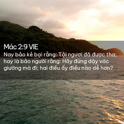 Picture 02 - Mác 2:9 VIE - Nay bảo kẻ bại rằng: Tội ngươi đã - Bible Verse Picture
