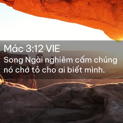 Picture 02 - Mác 3:12 VIE - Song Ngài nghiêm cấm chúng nó chớ tỏ - Bible Verse Picture