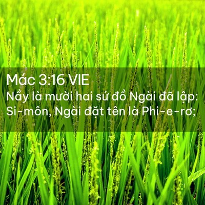 Picture 02 - Mác 3:16 VIE - Nầy là mười hai sứ đồ Ngài đã - Bible Verse Picture