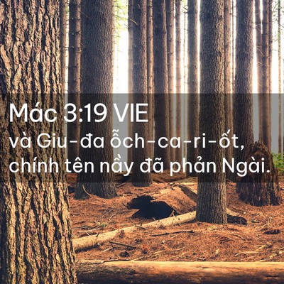 Picture 02 - Mác 3:19 VIE - và Giu-đa ỗch-ca-ri-ốt, chính tên nầy - Bible Verse Picture