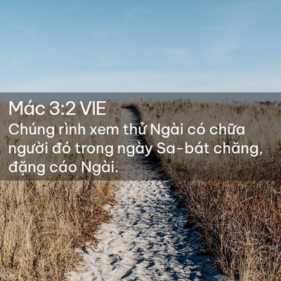 Picture 02 - Mác 3:2 VIE - Chúng rình xem thử Ngài có chữa người - Bible Verse Picture