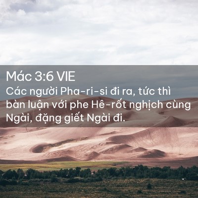 Picture 02 - Mác 3:6 VIE - Các người Pha-ri-si đi ra, tức thì bàn - Bible Verse Picture