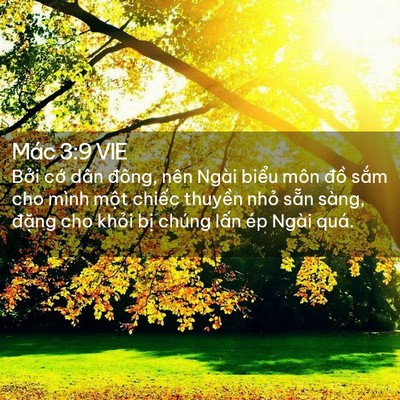 Picture 02 - Mác 3:9 VIE - Bởi cớ dân đông, nên Ngài biểu môn - Bible Verse Picture