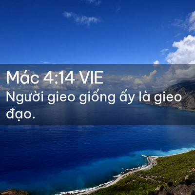 Picture 02 - Mác 4:14 VIE - Người gieo giống ấy là gieo - Bible Verse Picture