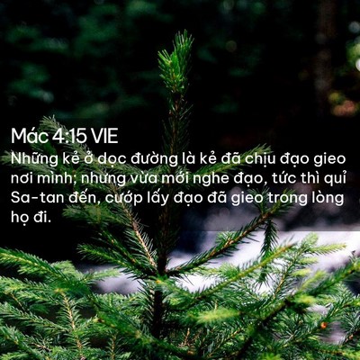 Picture 02 - Mác 4:15 VIE - Những kẻ ở dọc đường là kẻ đã - Bible Verse Picture