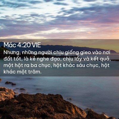 Picture 02 - Mác 4:20 VIE - Nhưng, những người chịu giống gieo vào - Bible Verse Picture