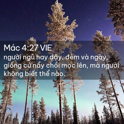 Picture 02 - Mác 4:27 VIE - người ngủ hay dậy, đêm và ngày, - Bible Verse Picture
