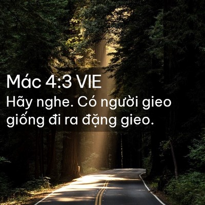 Picture 02 - Mác 4:3 VIE - Hãy nghe. Có người gieo giống đi ra - Bible Verse Picture
