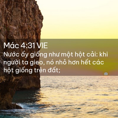 Picture 02 - Mác 4:31 VIE - Nước ấy giống như một hột cải: khi - Bible Verse Picture