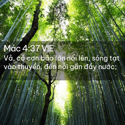 Picture 02 - Mác 4:37 VIE - Vả, có cơn bão lớn nổi lên, sóng tạt - Bible Verse Picture