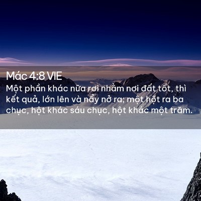 Picture 02 - Mác 4:8 VIE - Một phần khác nữa rơi nhằm nơi đất - Bible Verse Picture