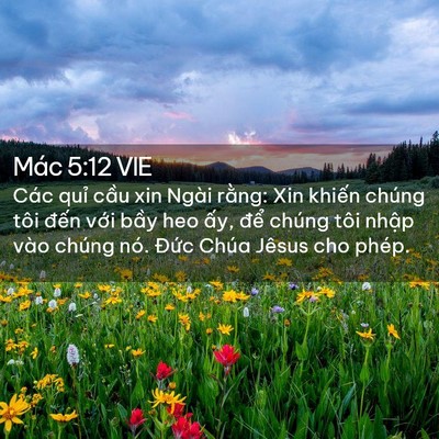 Picture 02 - Mác 5:12 VIE - Các quỉ cầu xin Ngài rằng: Xin khiến - Bible Verse Picture