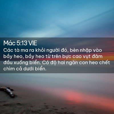Picture 02 - Mác 5:13 VIE - Các tà ma ra khỏi người đó, bèn nhập - Bible Verse Picture