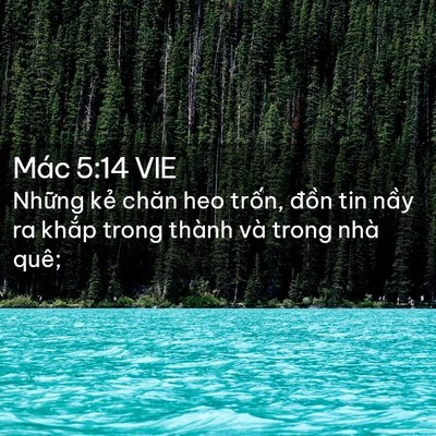 Picture 02 - Mác 5:14 VIE - Những kẻ chăn heo trốn, đồn tin nầy - Bible Verse Picture