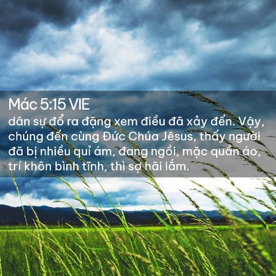Picture 02 - Mác 5:15 VIE - dân sự đổ ra đặng xem điều đã xảy - Bible Verse Picture
