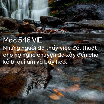 Picture 02 - Mác 5:16 VIE - Những người đã thấy việc đó, thuật - Bible Verse Picture