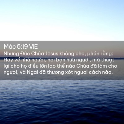 Picture 02 - Mác 5:19 VIE - Nhưng Đức Chúa Jêsus không cho, phán - Bible Verse Picture