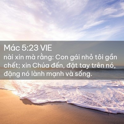 Picture 02 - Mác 5:23 VIE - nài xin mà rằng: Con gái nhỏ tôi gần - Bible Verse Picture