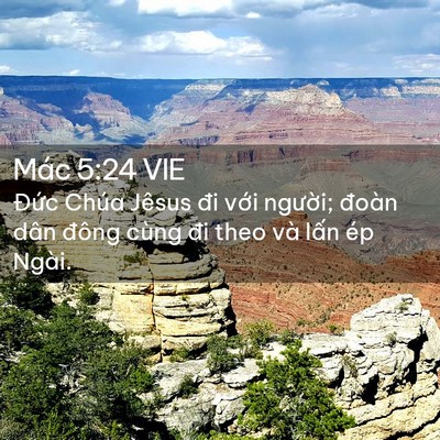 Picture 02 - Mác 5:24 VIE - Đức Chúa Jêsus đi với người; đoàn - Bible Verse Picture