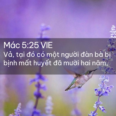 Picture 02 - Mác 5:25 VIE - Vả, tại đó có một người đàn bà - Bible Verse Picture