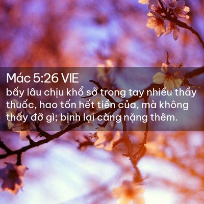 Picture 02 - Mác 5:26 VIE - bấy lâu chịu khổ sở trong tay nhiều - Bible Verse Picture