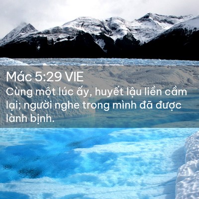 Picture 02 - Mác 5:29 VIE - Cùng một lúc ấy, huyết lậu liền cầm - Bible Verse Picture