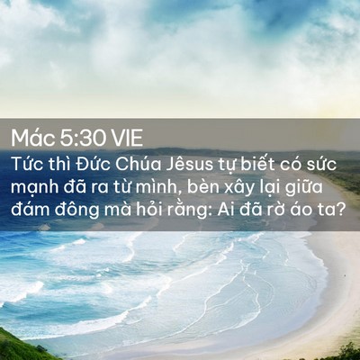 Picture 02 - Mác 5:30 VIE - Tức thì Đức Chúa Jêsus tự biết có - Bible Verse Picture