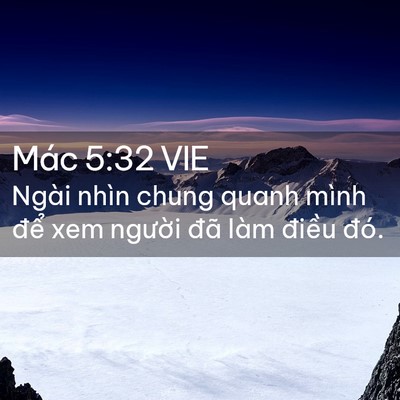Picture 02 - Mác 5:32 VIE - Ngài nhìn chung quanh mình để xem người - Bible Verse Picture