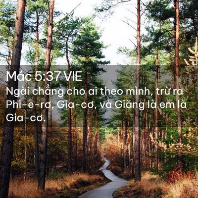 Picture 02 - Mác 5:37 VIE - Ngài chẳng cho ai theo mình, trừ ra - Bible Verse Picture