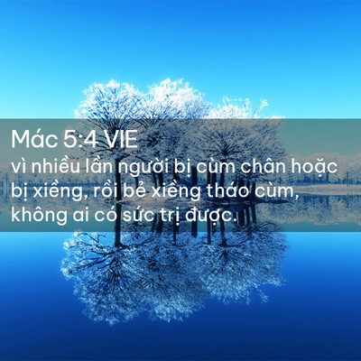 Picture 02 - Mác 5:4 VIE - vì nhiều lần người bị cùm chân hoặc - Bible Verse Picture