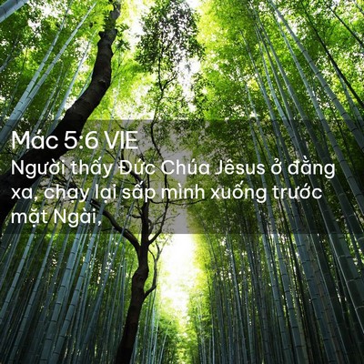 Picture 02 - Mác 5:6 VIE - Người thấy Đức Chúa Jêsus ở đằng - Bible Verse Picture