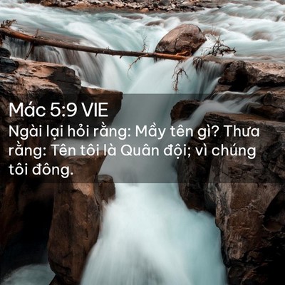 Picture 02 - Mác 5:9 VIE - Ngài lại hỏi rằng: Mầy tên gì? Thưa - Bible Verse Picture