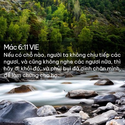 Picture 02 - Mác 6:11 VIE - Nếu có chỗ nào, người ta không chịu - Bible Verse Picture