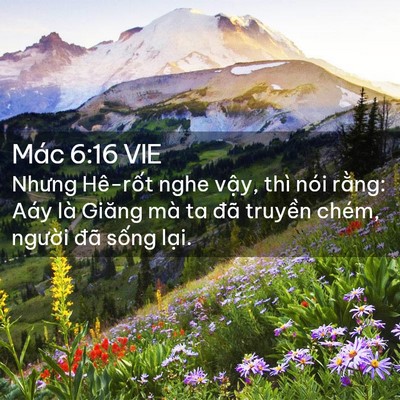 Picture 02 - Mác 6:16 VIE - Nhưng Hê-rốt nghe vậy, thì nói rằng: - Bible Verse Picture