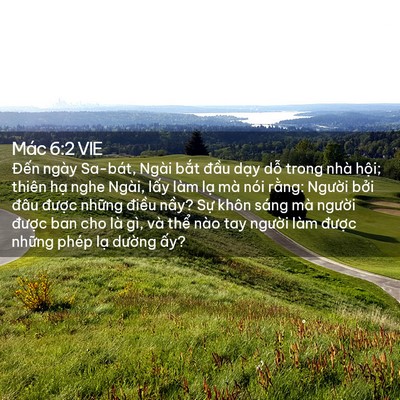 Picture 02 - Mác 6:2 VIE - Đến ngày Sa-bát, Ngài bắt đầu dạy - Bible Verse Picture