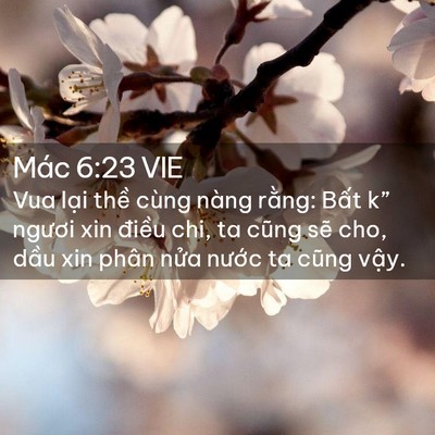 Picture 02 - Mác 6:23 VIE - Vua lại thề cùng nàng rằng: Bất k” - Bible Verse Picture