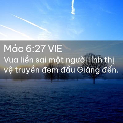 Picture 02 - Mác 6:27 VIE - Vua liền sai một người lính thị vệ - Bible Verse Picture