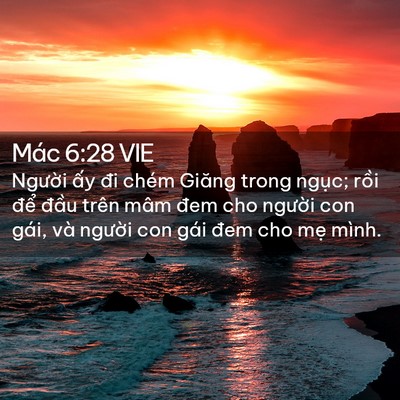 Picture 02 - Mác 6:28 VIE - Người ấy đi chém Giăng trong ngục; - Bible Verse Picture