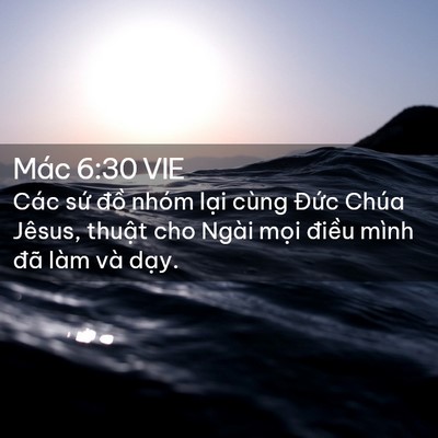 Picture 02 - Mác 6:30 VIE - Các sứ đồ nhóm lại cùng Đức Chúa - Bible Verse Picture