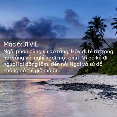 Picture 02 - Mác 6:31 VIE - Ngài phán cùng sứ đồ rằng: Hãy đi - Bible Verse Picture