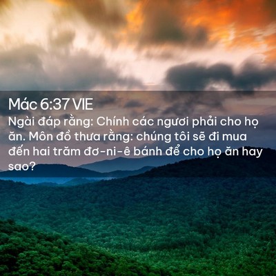 Picture 02 - Mác 6:37 VIE - Ngài đáp rằng: Chính các ngươi phải - Bible Verse Picture