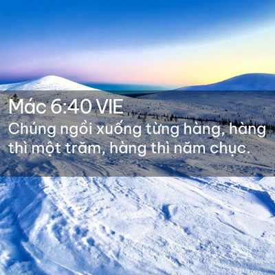 Picture 02 - Mác 6:40 VIE - Chúng ngồi xuống từng hàng, hàng thì - Bible Verse Picture